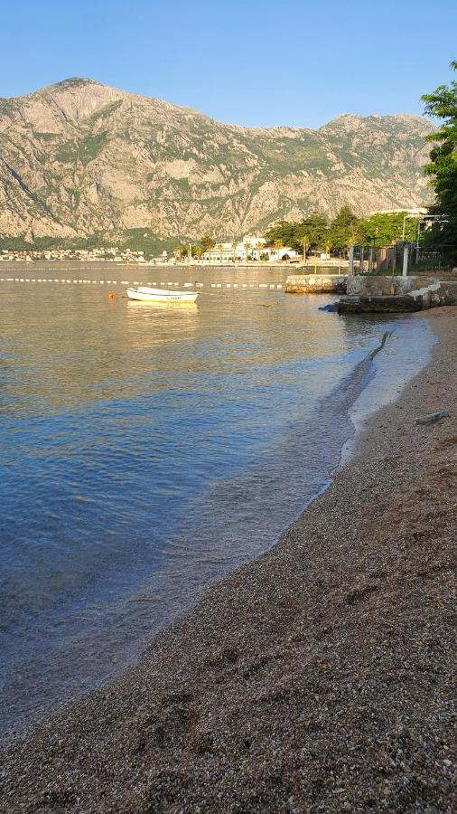 Villa Viva House à Kotor Extérieur photo